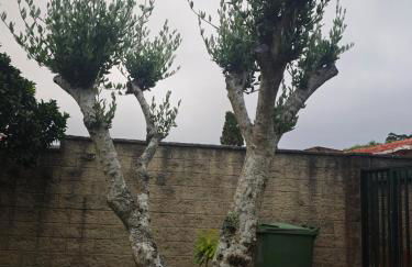 La Casa de las Ranas - Foto 23