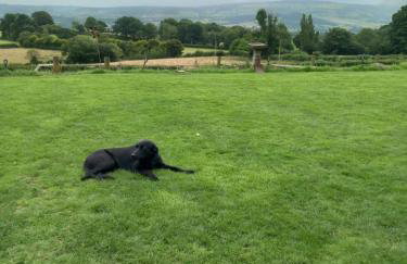 Hay View Lodges - Barn End - Foto 12