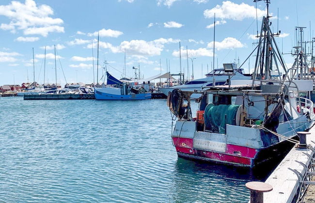 6 Person Holiday Home in Strandby - Photo 31