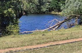 LandOase Buchhorst - Photo 38