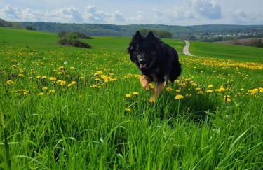 Ferienwohnung Westerwaldblick großzügige Wohlfühloase mit Terrasse - Foto 19