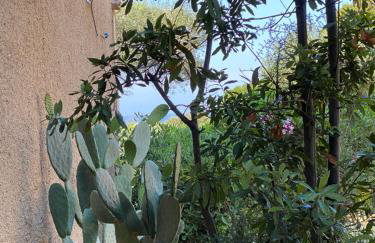 Cassetta 92 Marie-Pierre - Foto 38