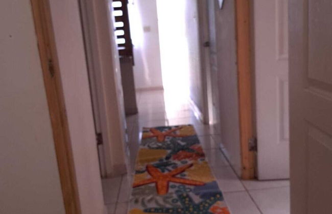 Parque Central - Foto 6