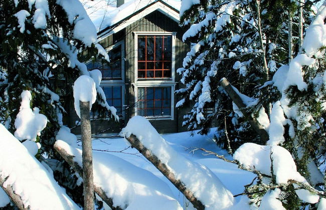 Vuokatin Aateli Villas - Foto 25