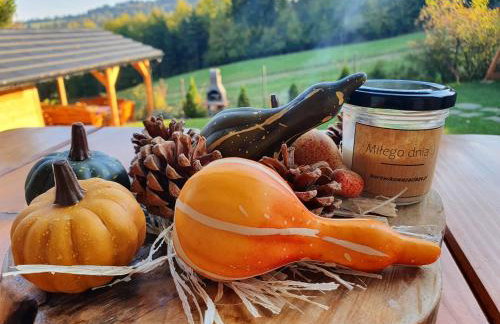 Borowikowe Zacisze drewniane domy z kominkami - Foto 57