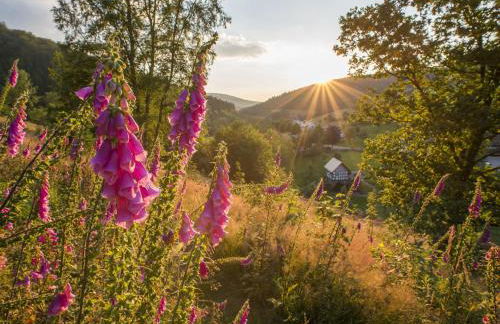 ATEMPAUSE Sauerland - Foto 16