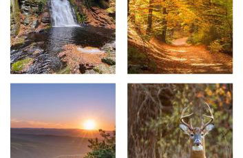 Lakefront Home, Hot Tub, Pool Access, Boats, Pets - Photo 27