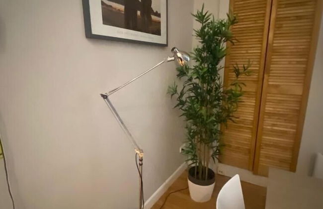 Smartflars - Collector - Foto 57