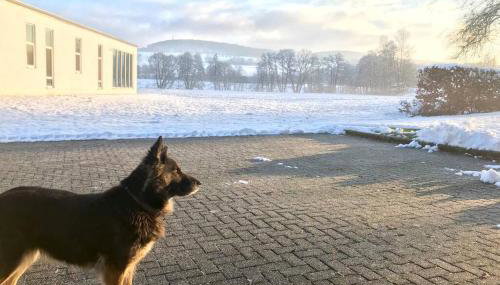 Ferienhaus Talblick - Foto 1