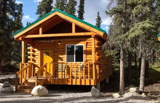 Denali Tri-Valley Cabins - Foto 45