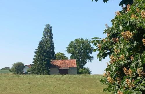 Ferienwohnung in Treysa - Foto 16