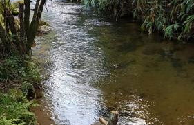 Chalés Alcantilado - Morada Sol e Lua - Photo 33