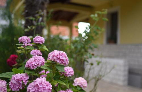 Apartment Ivana - Foto 27