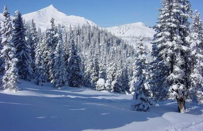 Picturesque Villa in Medebach near Ski Area - Foto 1