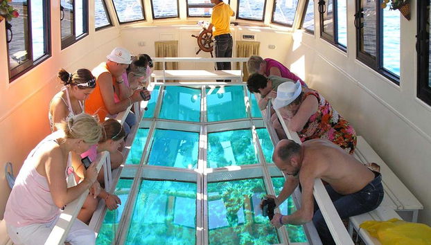 Demi-journée - Excursion aquatique - Photo 5