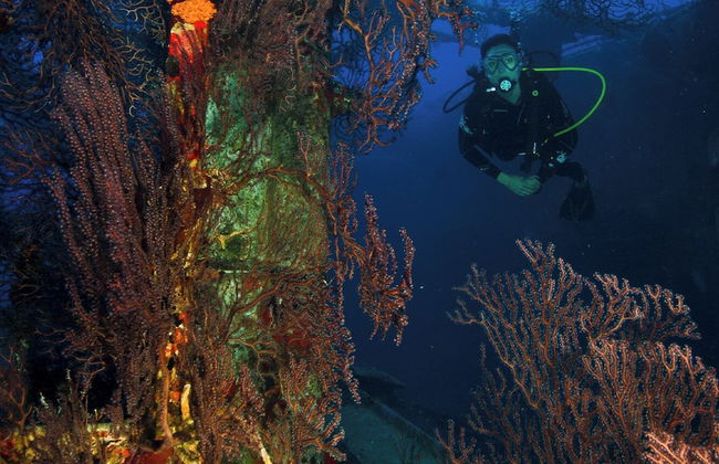 Whale Tails Hotel - Foto 54