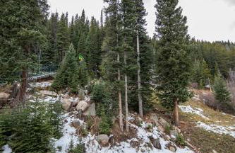 Iron Horse Building D Unit 4104 - Foto 33