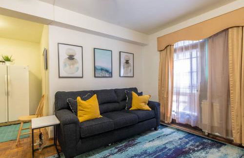 Sunny Fully Furnished Studio in Chelsea - Photo 1