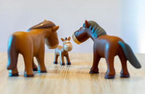 Landhaus Familie Allgeier - Foto 40