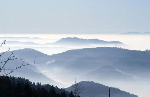 Schauenburgblick - Foto 17