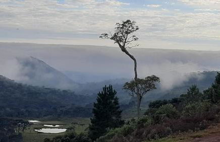 Beautiful Cabin in the Serra Catarinense - Foto 10