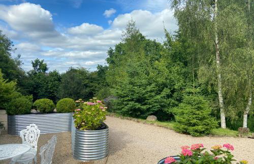 STARGAZER adult only - Foto 27