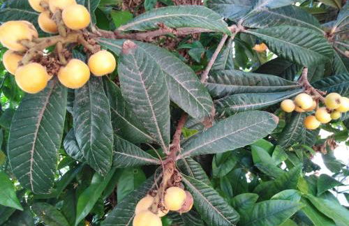 NEW PANORAMA STUDIOS ELECTRIC car ΦΟΡΤΙΣΗΣ ΣΤΑΤΙΟΝ - Foto 18