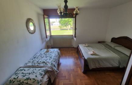 In campagna vicino al mare - Foto 7