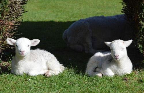 The Retreat - Foto 9