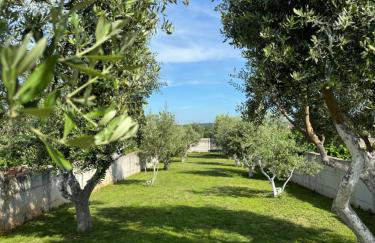 Villa Genesis - Stadtvilla Marčana Istrien - mit privatem, beheizbaren Infinity Pool und Olivengarten - Foto 32