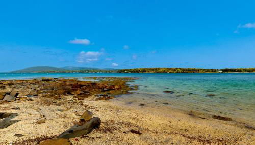 The Birdhouse of Maine - Photo 3