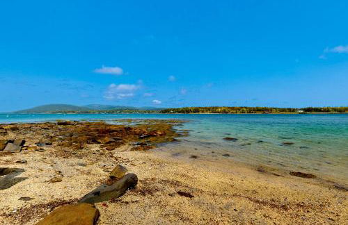 The Birdhouse of Maine - Foto 3