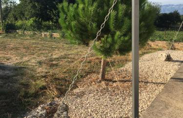 Villa Zerava Nin - Photo 27