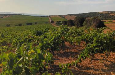 Villa i tre pini - Porto Pino - Foto 33