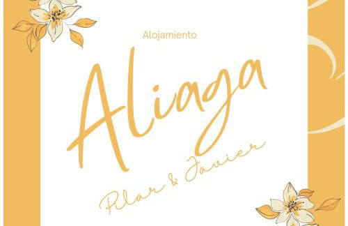 Apartamento Aliaga - Foto 22