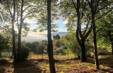 Bas de maison dans une oliveraie avec 2 suites parentales - Foto 17