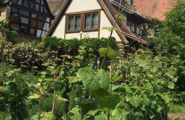 Traumblick Rebenmeer - Foto 2