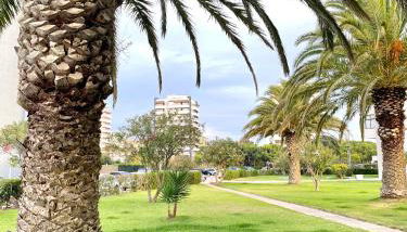 Alvor Seven - Photo 5, Garden