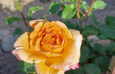 Casa del Riu - Foto 51