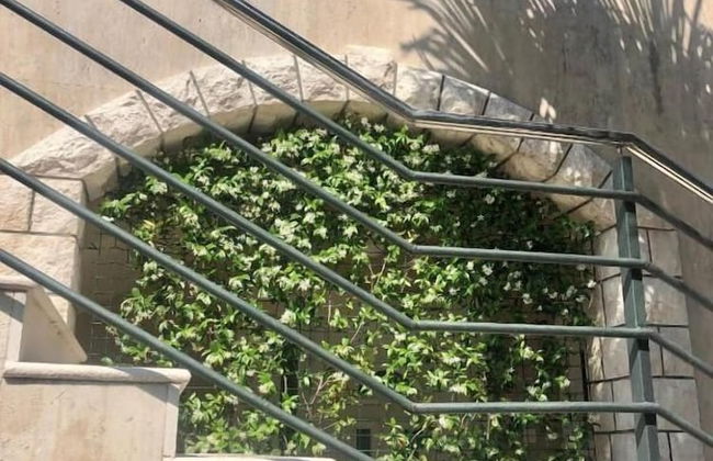 Palma Apartments - Foto 55