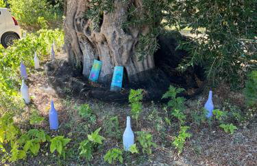 Green Hill House - Foto 47