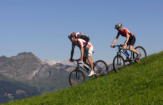 Modern Chalet With Sauna - Foto 25