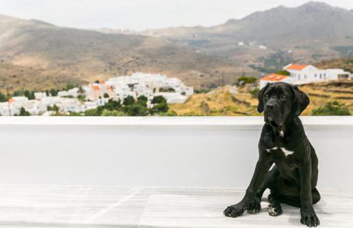 Imarkellis Tinos Boutique Villas - Foto 70