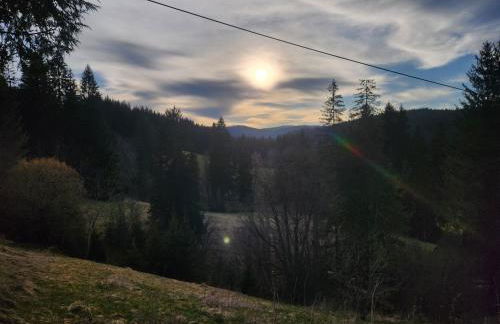 Alte Schmiede - Foto 19