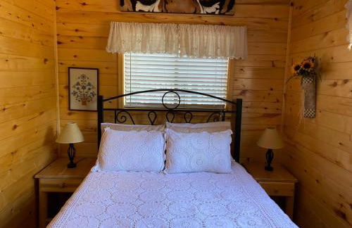 LilyBear Cabin - Foto 8