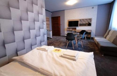 LAKE VIEW Apartamenty - Foto 53