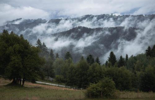 Domek na Obidzy - Foto 6