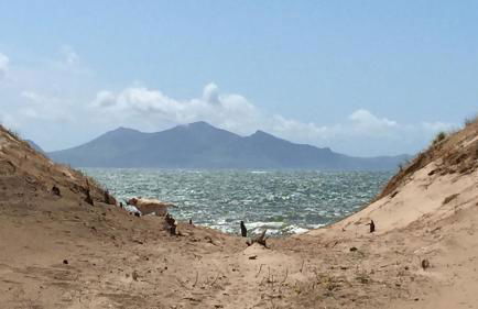 Pen Braint - Foto 27