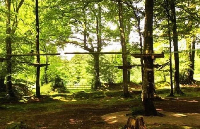 Etape en forêt - Foto 61