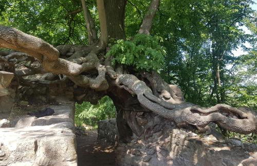 Ferienhaus Renate 7 - Foto 13